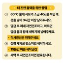 새옷처럼 | 얼띵스 블랙 시트 추천 물빠진 검정옷 새옷처럼 복원 후기