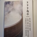 분당 수내동 착한가격과 깔끔한맛 온담순대국 방문 후기