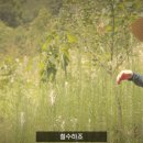 대리농장 이미지