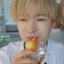 새예지유치원 | Reality is also a pizza.
