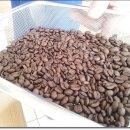 [온양] 수망로스팅으로 커피의 삼라만상을 표현하다. 이미지