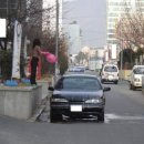 세차하는 날 Daum카페
