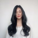 벨레자헤어 - 성북구 | 벨레자헤어