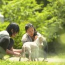 사수민박 이미지