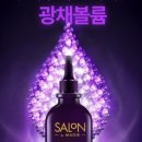 살롱드 고 이미지