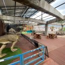 우석헌자연사박물관 이미지