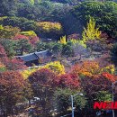 오색스포츠