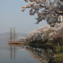 신평동1033 이미지