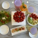 햅독 | 강원도 춘천 애견펜션 추천 햅독 내돈내산 솔직후기(2동,마당,개별바베큐,애견욕조)