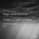 루스라이팅 이미지