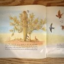 리딩 영어그림책 | Cactus Hotel ㅣ Subject Link 리딩·독해까지 이어지는 논픽션 영어그림책 연계 읽기 추천