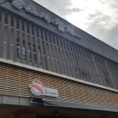 준스시참치