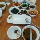 웰컴캐노피 이미지