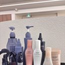 중앙초등길 | [신정네거리역 미용실] 에이바헤어 신정네거리역점...대작전! 시세이도 모발 클리닉 5단계 솔직 후기 ✨