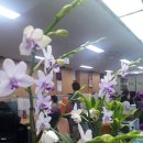 화순읍사무소 이미지