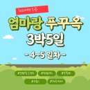 북부카랜드 | [해외 여행] 엄마랑 푸꾸옥 여행 3박5일_4~5일차(빈원랜드,수족관