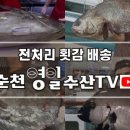영일수산 이미지