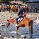 산속호수마을 | 카자흐스탄의 숨겨진 보석 카인디호수