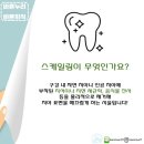 바른지식