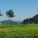 물금취수장 이미지