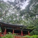 수양양산