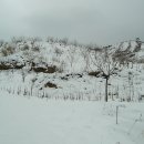 부운농장 이미지