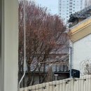 비앤비 | 군산 에어비앤비 오블로모프 후기(20250301~20250302)