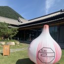 카페 뜰 단양 이미지