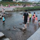 학의천변 Daum카페