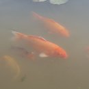 공음농장 이미지