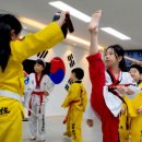 비송태권도 이미지