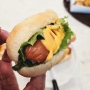 노래하는분수대 | 마두동 맛집 미국식 핫도그 핫도규 솔직후기 일산호수공원 노래하는 분수대 메뉴 추천