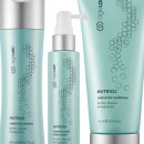 스테이 호꼼만 이미지