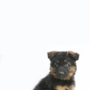 석항보건진료소 이미지