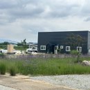 덕진-47 | 전주 에코시티카페 진조리카페335 애견동반 가능한 넓은 잔디카페 옛날팥빙수 후기