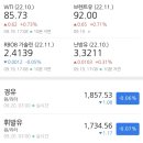 윤영숙농장 네이버블로그