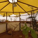 석기농장 이미지