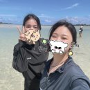 제주542펜션 | [주간 일기] 소곤소곤 제주여행기(3) 제주도 3박 4일 여행 3일차/안트레펜션/안녕협재씨/금능해수욕장...