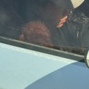 황지로 | [관광두레] 태백 청년교류 팸투어 1일차(솔직후기)