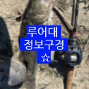 낚GO먹GO | 낚시장소 반응 완전 최고!