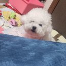 솔로앤프랜즈 - 수영구 수영로 417 | 솔로앤프랜즈