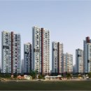 대성공구 이미지