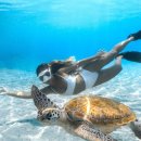 여주-0142 | 오키나와 여행 날씨 옷차림 준비물, 주의 사항