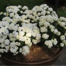 전남생명과학고등학교 이미지