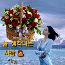 몽상 이미지