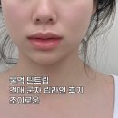 조이틴트 | 건대/군자 립 라인 후기 자연스러운 물먹 틴트립은 조이로운