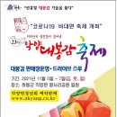 법인악양왕언니농원 | 악양 대봉감 축제/회남재 숲길 걷기