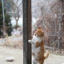 사랑방손님 이미지