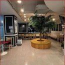 화이트라인치과의원 | 화이트라인치과의원 치과 방문 후 생활이 달라졌어요