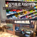 올드클락 | 싱가포르 주얼창이 포켓몬스토어 올드 스트리트 바쿠테 맛집 후기
